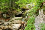 2014-07-05_Laengental-N-Hochweg (456). JPG